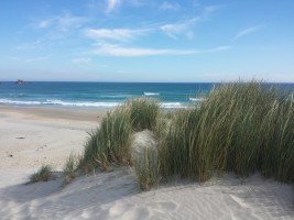 SandFly Beach